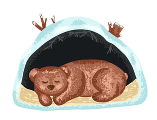 Naklejka premium Cute bear sleeping in underground den. Forest animal cave with snow