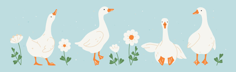 Cute white geese or ducks and camomile flowers. Hand drawn farm animals geese with decorative floral elements. Vector illustration for baby shower, Easter, nursery, t-shirt logo, card, poster, invitat