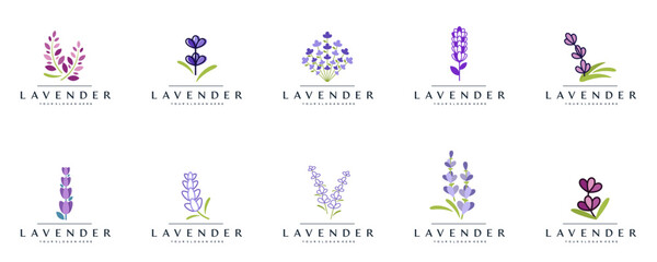 collection of lavender flower logos, symbol of beauty, extraction, perfume, natural herbs, vector illustration graphic.