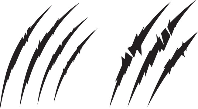 Four Black Scratch Marks, Sign of Claws. Vector Black silhouettes. with white background