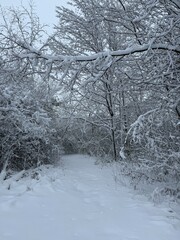 First winter storm in Quebec , Canada
