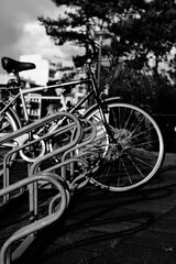 Vélos en noir et blanc à Koksijde à la côte Belge, Coxyde à la mer du nord en Belgique