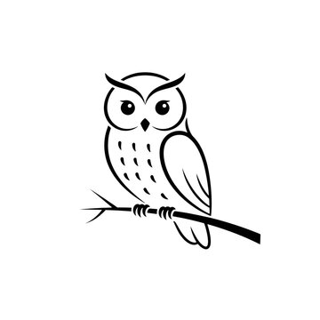 Minimalist black line drawing of an owl isolated on transparent background