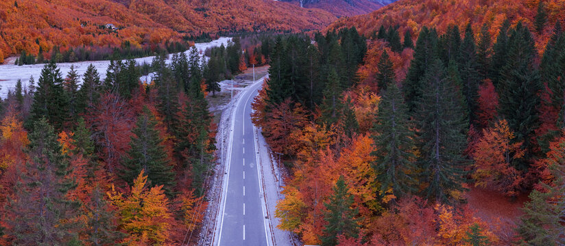 Twilight aerial view of Valbona Valley road winding through pine and autumn trees beside the pale riverbed. - Powered by Adobe