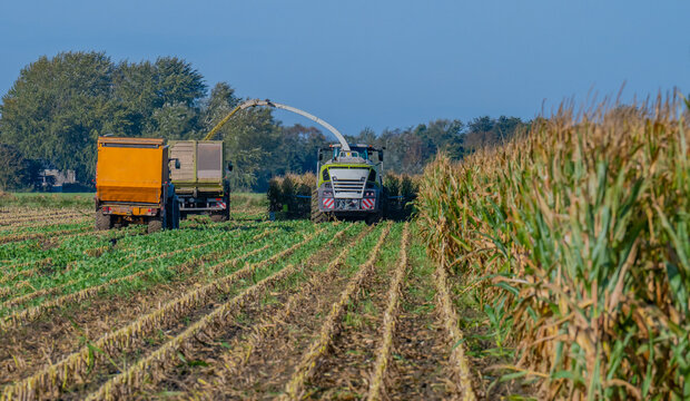 Hamburg, Germany - August 18, 2025: Claas Jaguar 960 maize chopper and FENDT 930 Vario tractor with Veenhuis Super Silagewagon during the maize harvest