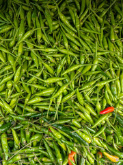 A vibrant and bountiful harvest of fresh green chili peppers with a splash of red, perfect for adding a fiery kick to any recipe