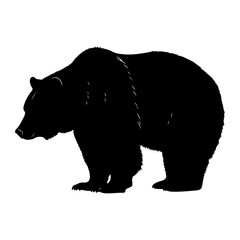 Fototapeta premium Black silhouette of a large grizzly bear standing sideways