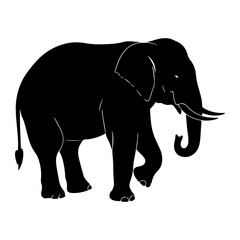 Fototapeta premium Silhouette of an African Elephant walking on a white background