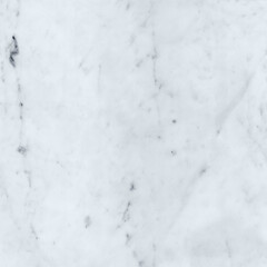 Classic White Carrara Marble