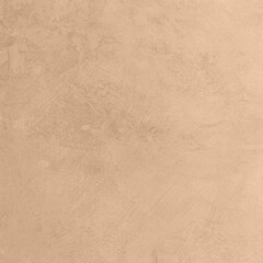 Beige Matte Plaster Surface