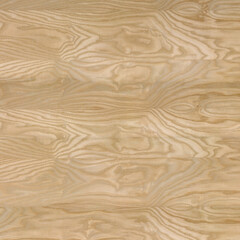 Blonde Figured Ash Veneer