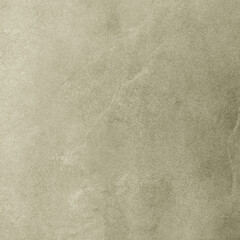 Olive Cement Plaster with Weathered Chalky Texture