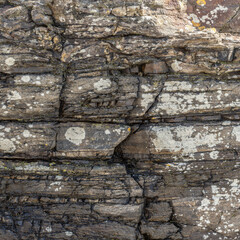 Rough Sedimentary Rock Texture