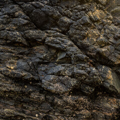 Warm Dark Basalt Rock Texture