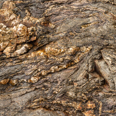 Warm Brown Layered Rock Texture