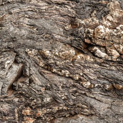 Grey Layered Metamorphic Rock Texture