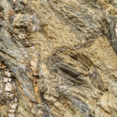 Layered Beige Metamorphic Rock Texture