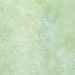 Light Green Plaster with Soft Matte Texture