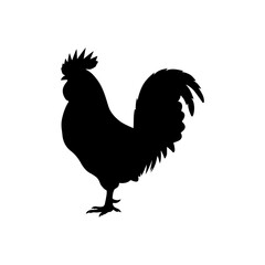Close up rooster silhouette vector flat illustration design.
