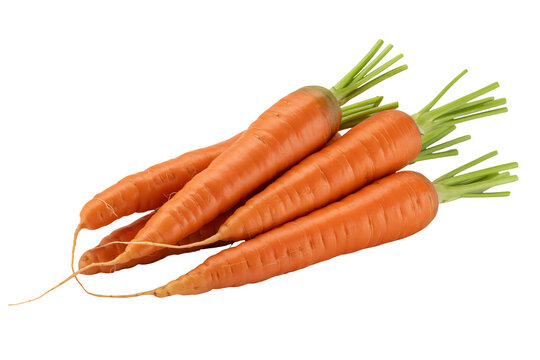 Freshly harvested carrots with vibrant green tops, perfect for healthy recipes and culinary creations promoting wellness and nutritious eating habits today