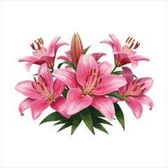 Pink lilies arrangement artistic rendering on a white background art