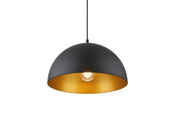 Stylish black and gold pendant light for modern interiors, perfect for adding a touch of elegance and sophistication to any room's decor