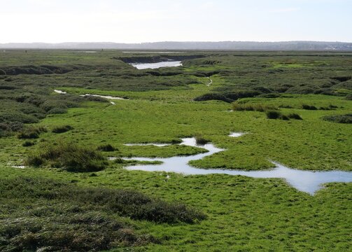 Paysage mar&eacute;cageux des pr&eacute;s sal&eacute;s en Baie de Somme, dans le nord de la France