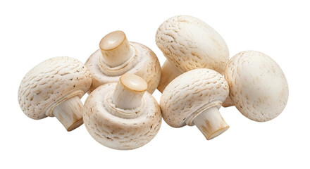 Fresh white button mushrooms isolated on white background