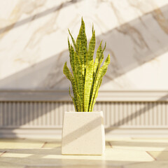 green plant in a pot