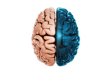 Dynamic fusion of organic human brain and futuristic digital circuitry symbolizing intelligence and innovation