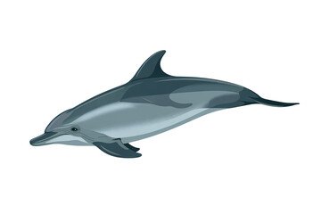Graceful dolphin leaping through ocean depths, embodying freedom and aquatic beauty for marine life projects.