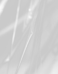 Obraz premium Abstract Monochrome Transparent Plastic Wrap Texture, Lines, Light and Shadow Study for Design.