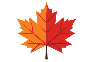 maple leaf on white background