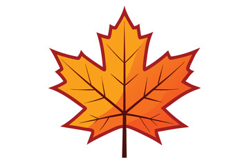 maple leaf on white background