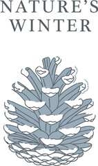 Stylized pinecone illustration with snow accents against a neutral background
