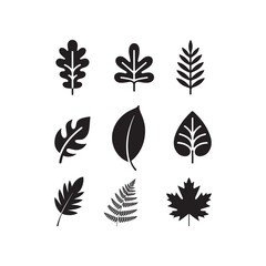 a collection of various leaf shapes displayed in a simple dark and striking silhouette high quality