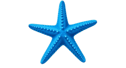 Isolated starfish vibrant azure ocean life marine animal on transparent background