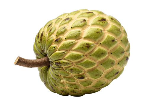 Custard apple fruit close up sweet tropical cherimoya healthy exotic food ingredient isolated on dark