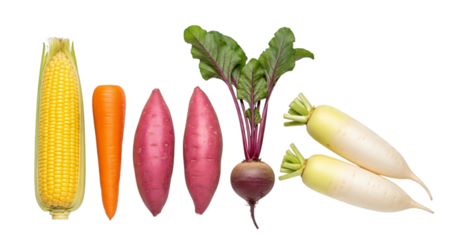 Fresh vegetables corn carrot beet radish sweet potato produce on transparent background