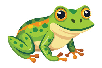 frog on white background