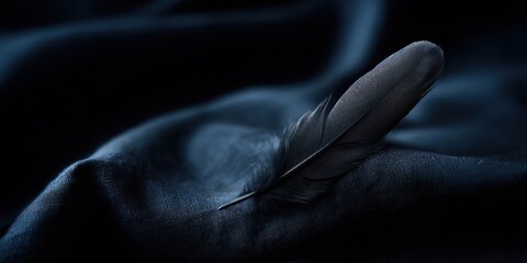 Obraz premium Delicate black feather resting on soft dark fabric