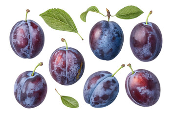 Fresh plums with leaves on white clean background
