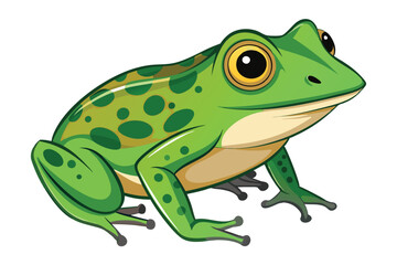 frog on white background