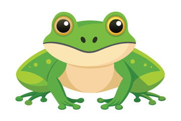 frog on white background