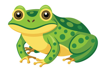 frog on white background