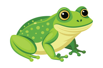 frog on white background