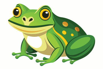 frog on white background