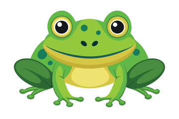 frog on white background