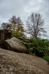 Weathered granite boulders and shrubs beneath an overcast autumn sky