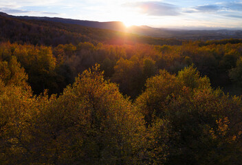 Autumn landscape on the Route of the Ancient Oaks of Okariz and Munain in the Sierra de Entzia mountain range in the province of Álava, Basque Country, Spain, Europe